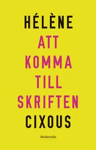 Att komma till skriften, E-bok