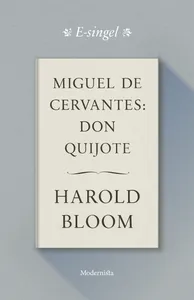 Miguel de Cervantes: Don Quijote, E-bok