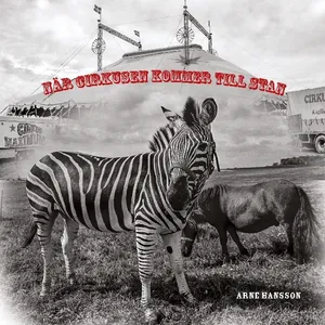 När Cirkusen Kommer Till Stan