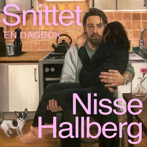 Snittet : En dagbok, Ljudbok