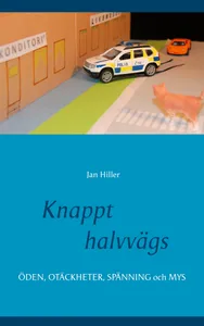 Knappt halvvägs, E-bok