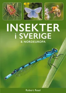 Insekter I Sverige Och Nordeuropa