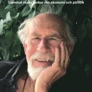 Funderingar : gammal mans tankar om ekonomi och politik