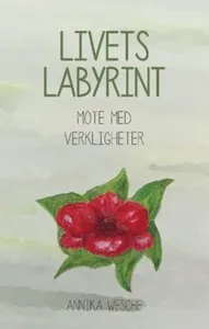 Livets labyrint : möte med verkligheter