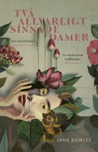 Två allvarligt sinnade damer, E-bok