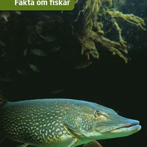 Fakta om fiskar