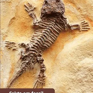 Fakta om fossil