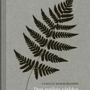 Den synliga världen