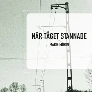 När tåget stannade