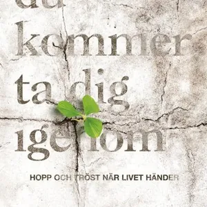 Du kommer ta dig igenom : hopp och tröst när livet händer