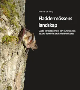 Fladdermössens Landskap