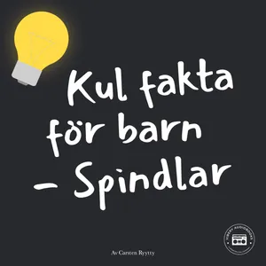 Kul fakta för barn: Spindlar, Ljudbok