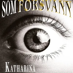 Statsministern som försvann