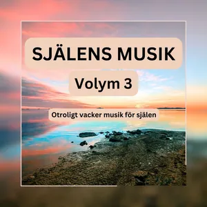 SJÄLENS MUSIK - Otroligt vacker musik för själen - Volym 3, Ljudbok