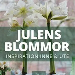 Julens Blommor
