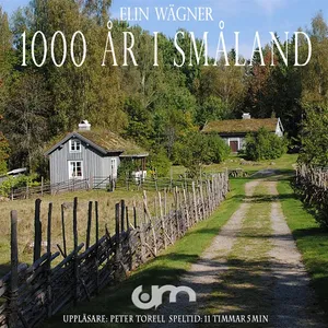 Tusen år i Småland, Ljudbok
