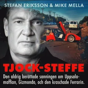 Tjock-Steffe