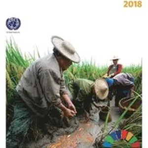 The sustainable development goals report 2018