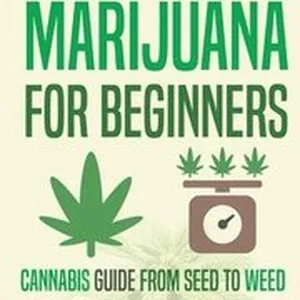 Growing Marijuana for Beginners