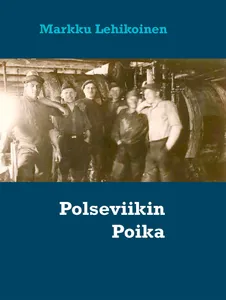 Polseviikin Poika, E-bok