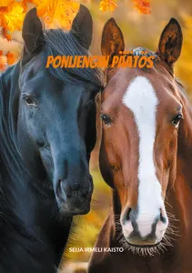 Ponijengin päätös, E-bok