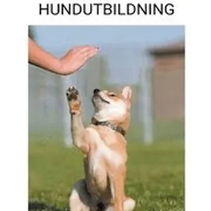 Hundtraning och Traning av valpar (Hundutbildning)