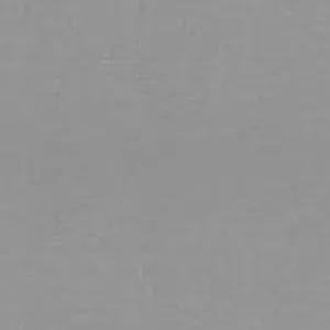 Enemy of the Disaster